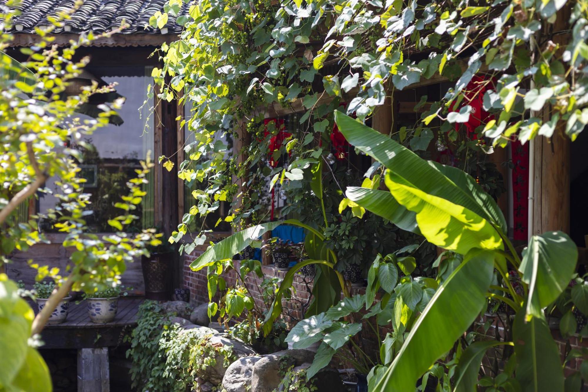 Butterfly Flowers Inn Zhangjiajie Exterior photo